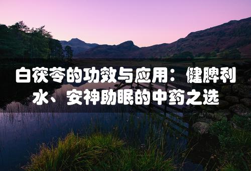 白茯苓的功效与应用：健脾利水、安神助眠的中药之选