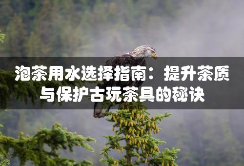 泡茶用水选择指南：提升茶质与保护古玩茶具的秘诀