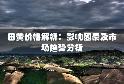 田黄价格解析：影响因素及市场趋势分析