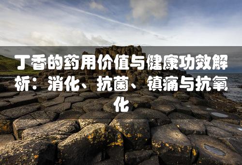 丁香的药用价值与健康功效解析：消化、抗菌、镇痛与抗氧化