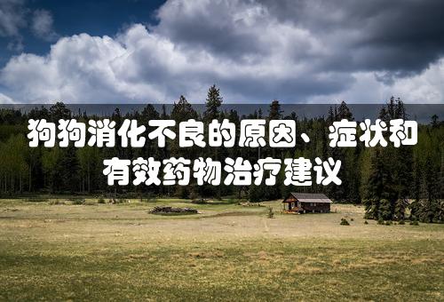 狗狗消化不良的原因、症状和有效药物治疗建议