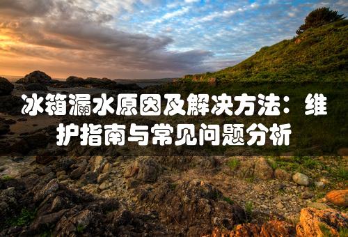 冰箱漏水原因及解决方法：维护指南与常见问题分析