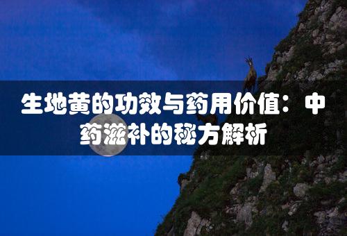 生地黄的功效与药用价值：中药滋补的秘方解析