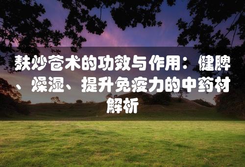 麸炒苍术的功效与作用：健脾、燥湿、提升免疫力的中药材解析