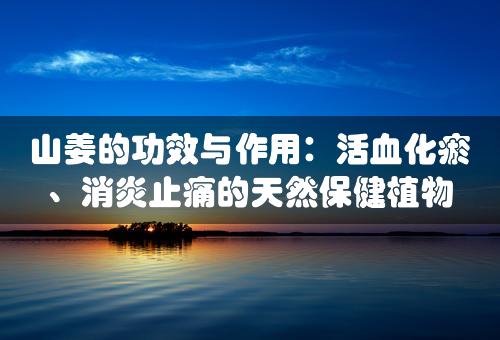 山姜的功效与作用：活血化瘀、消炎止痛的天然保健植物