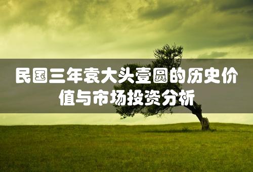 民国三年袁大头壹圆的历史价值与市场投资分析