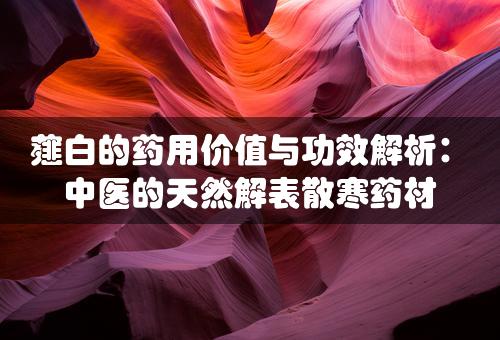 薤白的药用价值与功效解析：中医的天然解表散寒药材