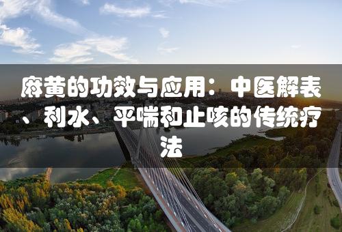 麻黄的功效与应用：中医解表、利水、平喘和止咳的传统疗法