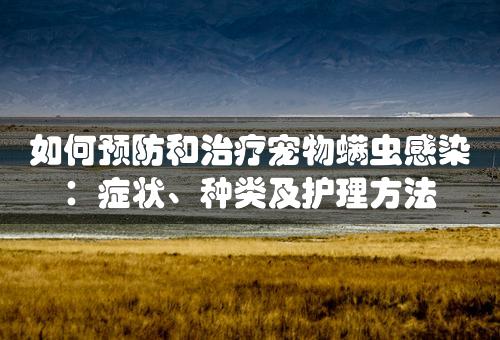 如何预防和治疗宠物螨虫感染：症状、种类及护理方法