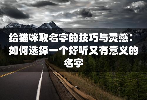 给猫咪取名字的技巧与灵感：如何选择一个好听又有意义的名字