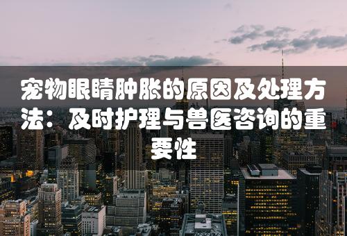 宠物眼睛肿胀的原因及处理方法：及时护理与兽医咨询的重要性