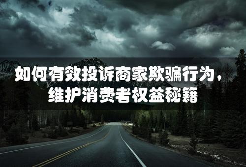 如何有效投诉商家欺骗行为，维护消费者权益秘籍