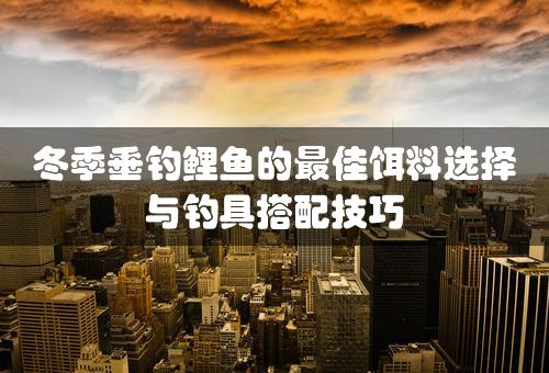 冬季垂钓鲤鱼的最佳饵料选择与钓具搭配技巧