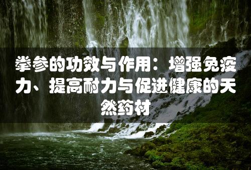 拳参的功效与作用：增强免疫力、提高耐力与促进健康的天然药材