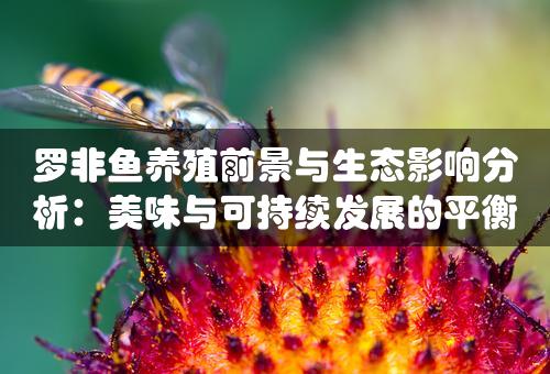 罗非鱼养殖前景与生态影响分析：美味与可持续发展的平衡