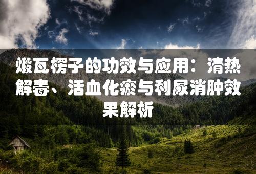 煅瓦楞子的功效与应用：清热解毒、活血化瘀与利尿消肿效果解析