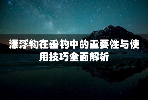 漂浮物在垂钓中的重要性与使用技巧全面解析