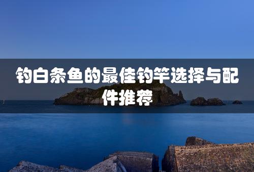 钓白条鱼的最佳钓竿选择与配件推荐