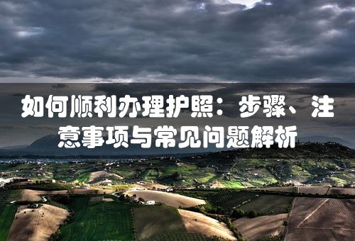 如何顺利办理护照：步骤、注意事项与常见问题解析