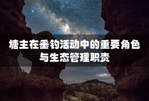 塘主在垂钓活动中的重要角色与生态管理职责