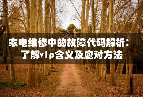 家电维修中的故障代码解析：了解v1p含义及应对方法