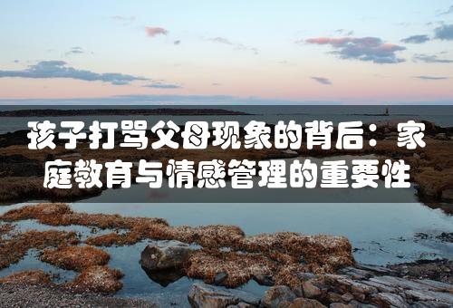 孩子打骂父母现象的背后：家庭教育与情感管理的重要性