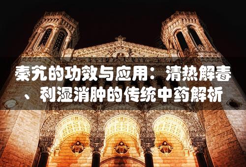 秦艽的功效与应用：清热解毒、利湿消肿的传统中药解析