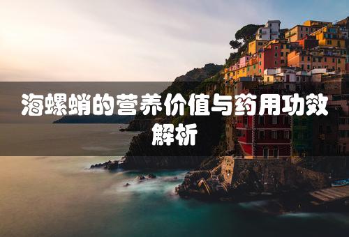 海螺蛸的营养价值与药用功效解析