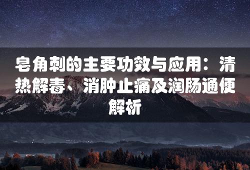 皂角刺的主要功效与应用：清热解毒、消肿止痛及润肠通便解析