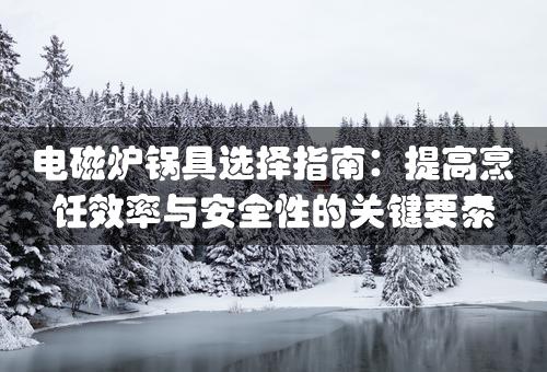 电磁炉锅具选择指南：提高烹饪效率与安全性的关键要素