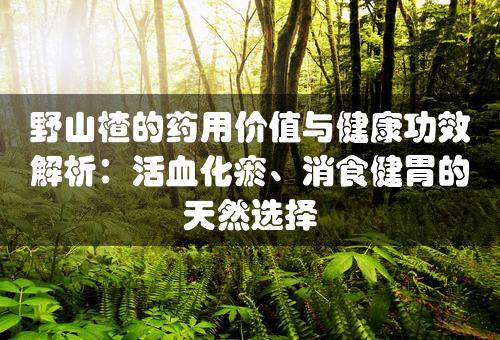 野山楂的药用价值与健康功效解析：活血化瘀、消食健胃的天然选择