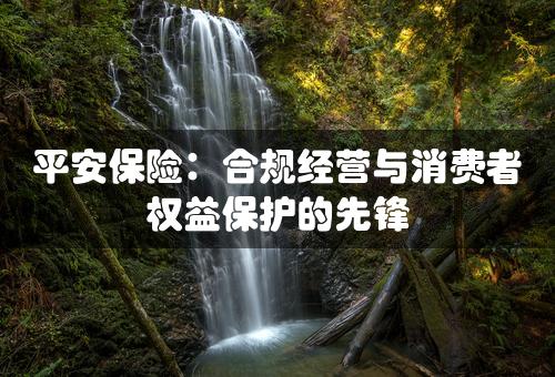 平安保险：合规经营与消费者权益保护的先锋