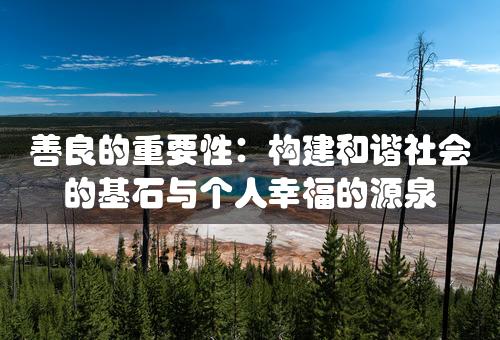 善良的重要性：构建和谐社会的基石与个人幸福的源泉