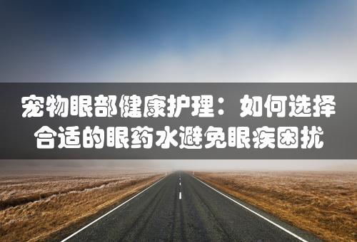 宠物眼部健康护理：如何选择合适的眼药水避免眼疾困扰