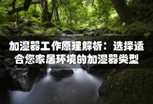 加湿器工作原理解析：选择适合您家居环境的加湿器类型