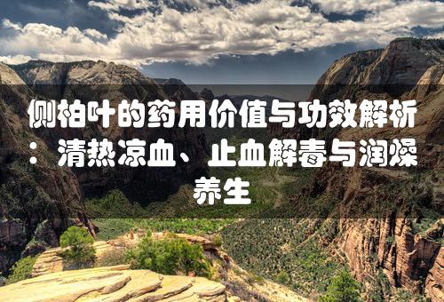 侧柏叶的药用价值与功效解析：清热凉血、止血解毒与润燥养生