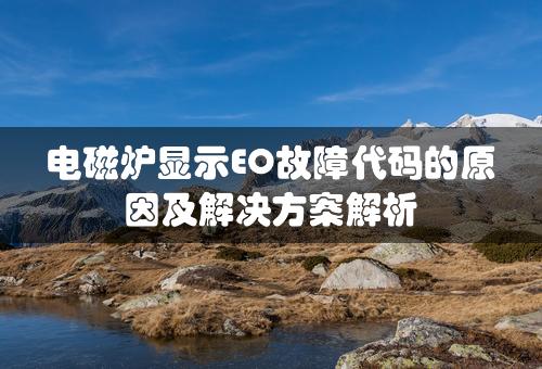 电磁炉显示EO故障代码的原因及解决方案解析