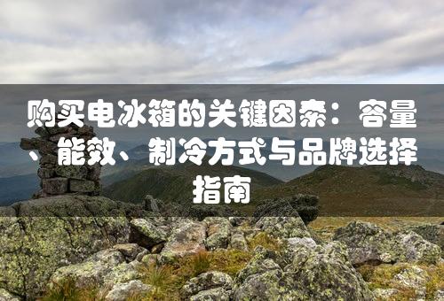 购买电冰箱的关键因素：容量、能效、制冷方式与品牌选择指南