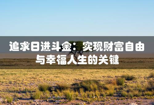 追求日进斗金：实现财富自由与幸福人生的关键