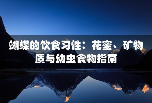 蝴蝶的饮食习性：花蜜、矿物质与幼虫食物指南