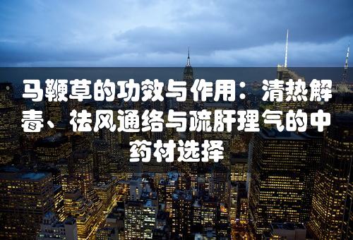 马鞭草的功效与作用：清热解毒、祛风通络与疏肝理气的中药材选择