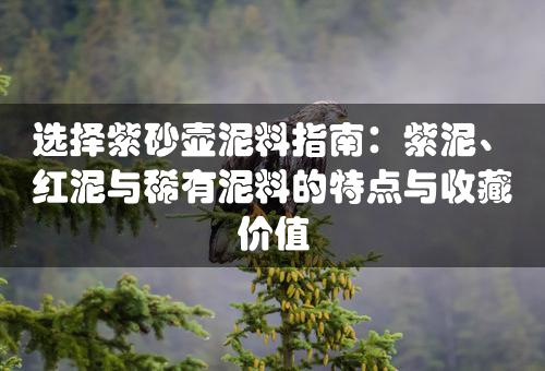 选择紫砂壶泥料指南：紫泥、红泥与稀有泥料的特点与收藏价值