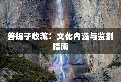 菩提子收藏：文化内涵与鉴别指南