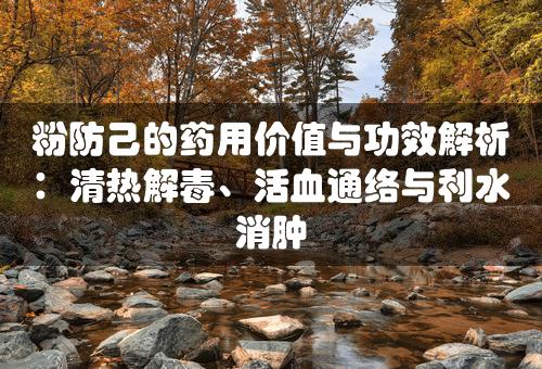 粉防己的药用价值与功效解析：清热解毒、活血通络与利水消肿