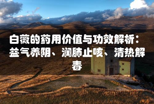 白薇的药用价值与功效解析：益气养阴、润肺止咳、清热解毒