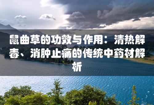 鼠曲草的功效与作用：清热解毒、消肿止痛的传统中药材解析