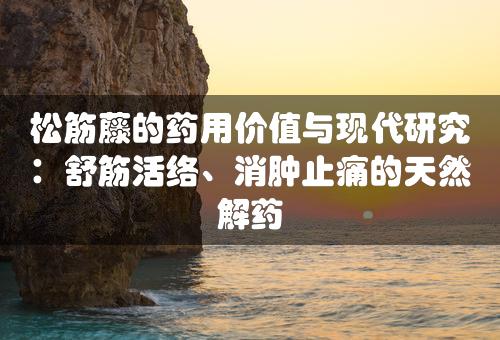 松筋藤的药用价值与现代研究：舒筋活络、消肿止痛的天然解药