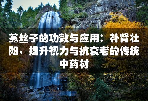 菟丝子的功效与应用：补肾壮阳、提升视力与抗衰老的传统中药材