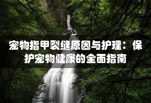 宠物指甲裂缝原因与护理：保护宠物健康的全面指南