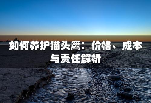 如何养护猫头鹰：价格、成本与责任解析